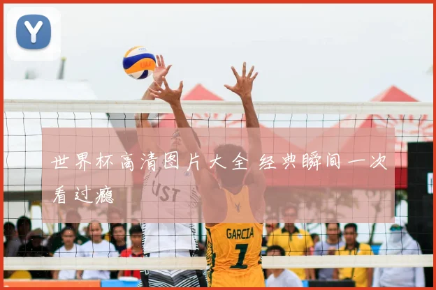 世界杯高清图片大全 经典瞬间一次看过瘾