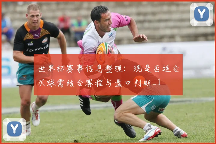 世界杯赛事信息整理：现是否适合买球需结合赛程与盘口判断_1