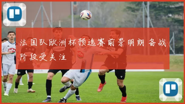 法国队欧洲杯预选赛前景明朗 备战阶段受关注